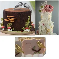 مولد قالب سیلیکونی فوندانت سورنا پارت طرح پرنده