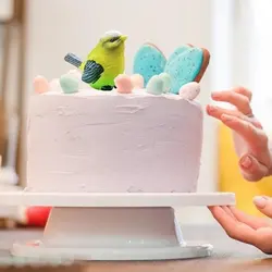 مولد قالب سیلیکونی فوندانت سورنا پارت طرح پرنده