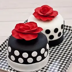 کاتر فشاری شیرینی پزی بهگز مدل دایره مجموعه 5 عددی