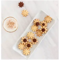 کاتر فشاری شیرینی پزی مدل گل مینا مجموعه 4 عددی