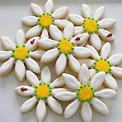 کاتر فشاری شیرینی پزی مدل گل مینا مجموعه 4 عددی