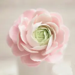 ست کاتر و وینر فوندانت بهگز مدل گل رز مجموعه 12 عددی