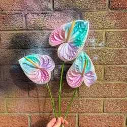 کاتر و وینر فوندانت بهگز مدل گل آنتریوم مجموعه 3 عددی