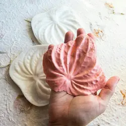 کاتر و وینر فوندانت بهگز مدل گل آنتریوم مجموعه 3 عددی