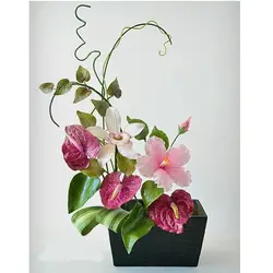 کاتر و وینر فوندانت بهگز مدل گل آنتریوم مجموعه 3 عددی