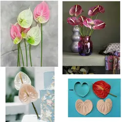 کاتر و وینر فوندانت بهگز مدل گل آنتریوم مجموعه 3 عددی