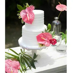 کاتر و وینر فوندانت بهگز مدل گل آنتریوم مجموعه 3 عددی