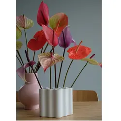 کاتر و وینر فوندانت بهگز مدل گل آنتریوم مجموعه 3 عددی