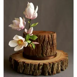 ست کاتر و وینر فوندانت بهگز مدل گل مگنولیا مجموعه 8 عددی