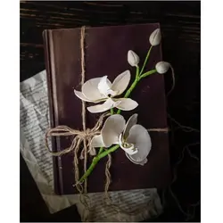 ست کاتر و وینر فوندانت بهگز مدل گل ارکیده مجموعه 8 عددی