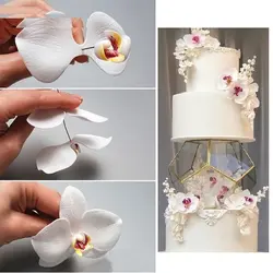 ست کاتر و وینر فوندانت بهگز مدل گل ارکیده مجموعه 8 عددی