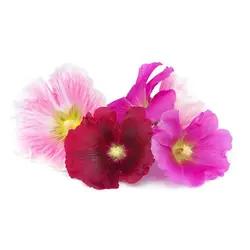 ست کاتر و وینر فوندانت بهگز مدل گل ختمی مجموعه 6 عددی