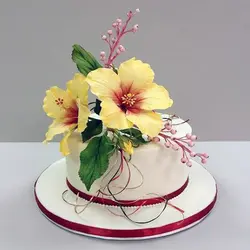 ست کاتر و وینر فوندانت بهگز مدل گل ختمی مجموعه 6 عددی