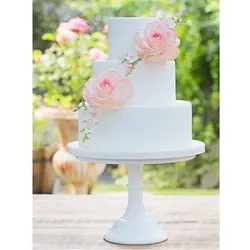 کاتر و وینر فوندانت بهگز مدل گل رز همیشه بهار مجموعه 5 عددی