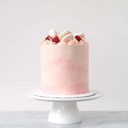 ابزار و  کاردک خامه کشی بهگز مدل یاس