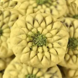 مهر و کاتر شیرینی پزی بهگز مدل کلمپه کد 213