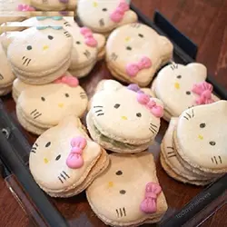 مولد و قالب فوندانت بهگز مدل پاپیون