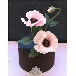 ست وینر و کاتر بهگز مدل گل شقایق مجموعه 3 عددی