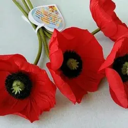 ست وینر و کاتر بهگز مدل گل شقایق مجموعه 3 عددی