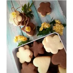 کاتر شیرینی پزی بهگز مدل Flowers مجموعه 6 عددی