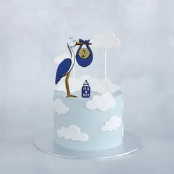 تاپر تزیین کیک بهگز مدل تعیین جنسیت مجموعه ۲ عددی