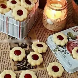 کاتر فشاری شیرینی پزی سورنا پارت مدل گرد