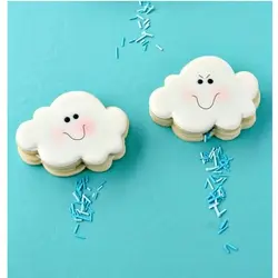 قیمت مشخصات خرید اینترنتی کاتر بیسکویت و شیرینی پزی بهگز مدل هواپیما و ابرمجموعه 2 عددی