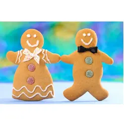 قیمت مشخصات خرید اینترنتی کاتر شیرینی پزی بهگز مدل آقا و خانم زنجبیلی مجموعه 2 عددی