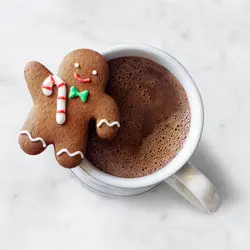 قیمت مشخصات خرید اینترنتی کاتر شیرینی پزی بهگز مدل آقا و خانم زنجبیلی مجموعه 2 عددی