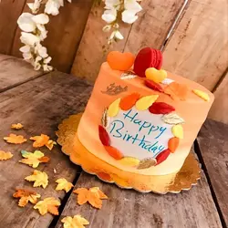 کاتر شیرینی پزی بهگز مدل برگ پاییزی18