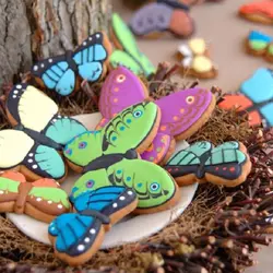 کاتر کوکی و شیرینی پزی بهگز مدل پروانه