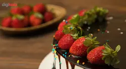 پودر کاکائو ترک شیرینی و کیک پزی قنادی - 250 گرم