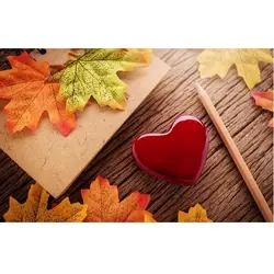 مولد و قالب فوندانت سورنا پارت مدل برگ پاییزی ریز