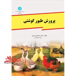 پرورش طیور گوشتی