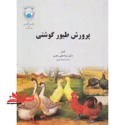 پرورش طیور گوشتی