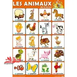 آشپزی بدون گوشت مریم