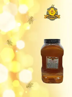 عسل گون زول درمانی پت