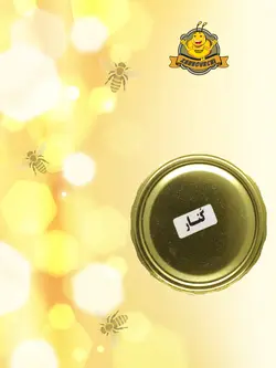 عسل کنار بدون موم آرین