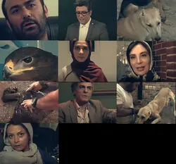 مجموعه مستند کی میاد فردا