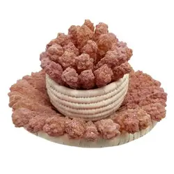 نبات گل محمدی