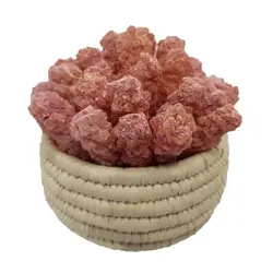 نبات گل محمدی