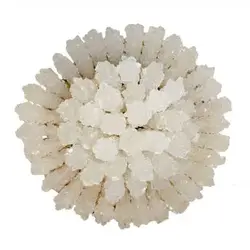 نبات کریستالی