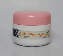 کرم سنتی جوانه گندم