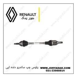 پلوس چپ ساندرو دنده ایی