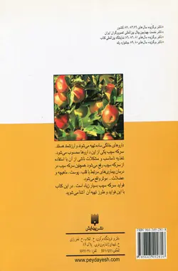 معجزه سرکه سیب اثر مارگوت هلمیس