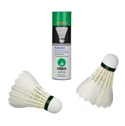 شاتل بدمینتون چینی پری AKTIVE