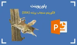 پاورپوینت الگوریتم سنجاب پرنده (SSA) - پی استور