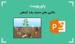 پاورپوینت باكتری های محرك رشد گیاهان - پی استور