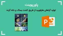 پاورپوینت تولید گیاهان هاپلویید از طریق کشت بساک و دانه گرده - پی استور