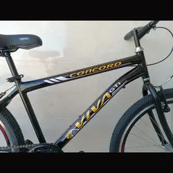 مشخصات، خرید و قیمت دوچرخه 24 تک سرعت مشکی فروشگاه چارپ